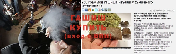 ECSTASY Богородицк