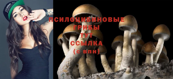 Альфа ПВП Армянск