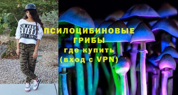 Альфа ПВП Армянск