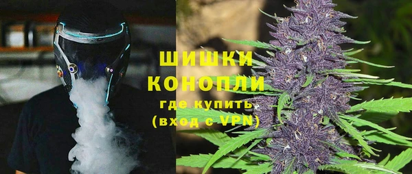 прущие грибы Сосновоборск
