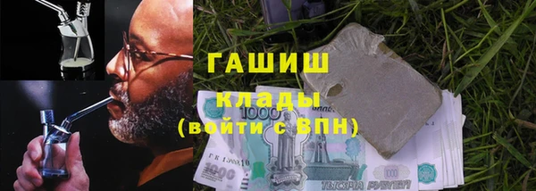 гидра Богородск