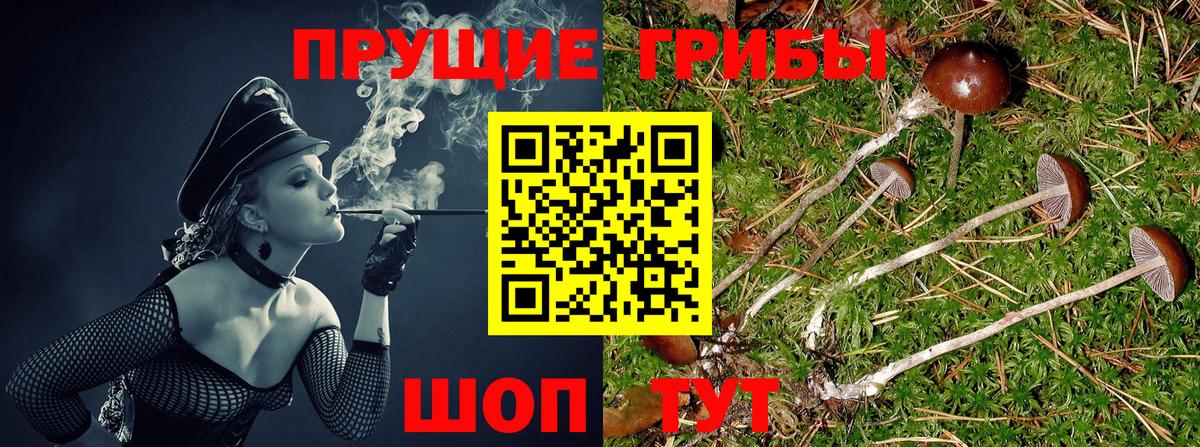 Усть-Лабинск  Галлюциногенные грибы MAGIC MUSHROOMS  Вход с VPN 