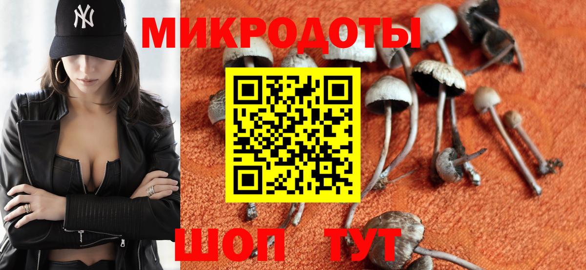 Псилоцибиновые грибы мицелий Усть-Лабинск